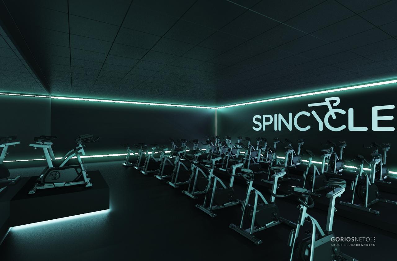 spin 3